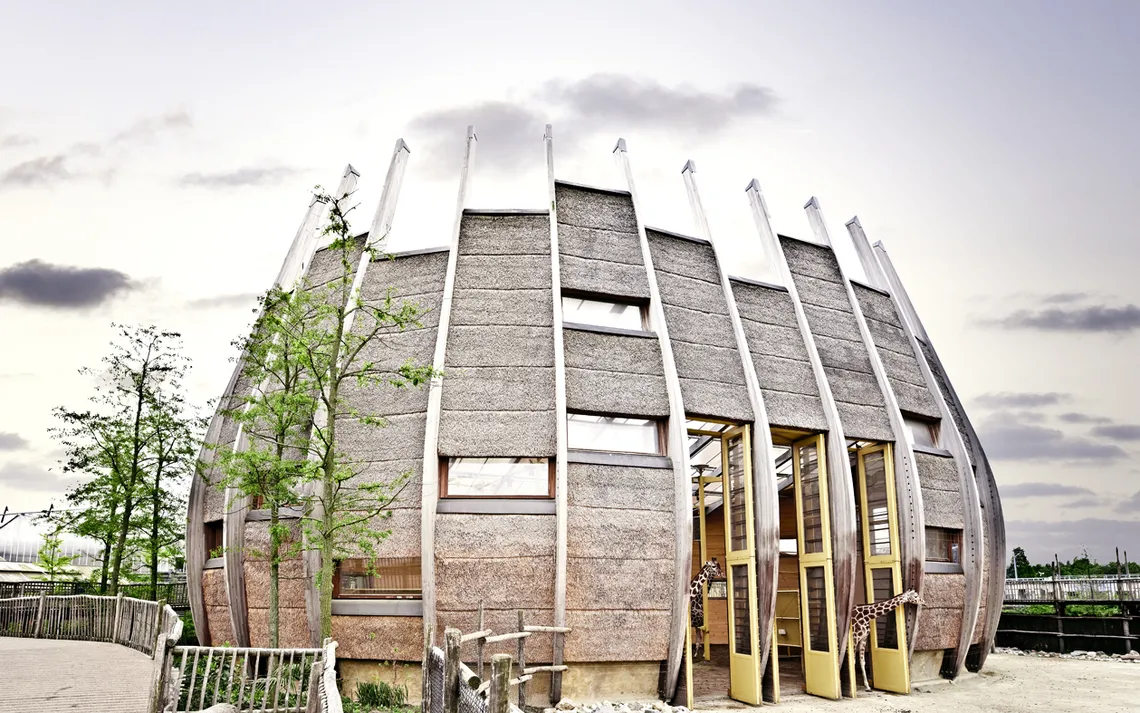 girrafehouse zoo architect