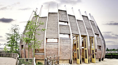 Savannehuis