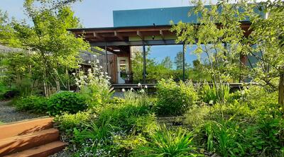 Wat is biophilic design