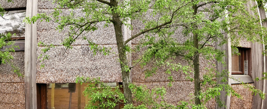 Biophilic Design