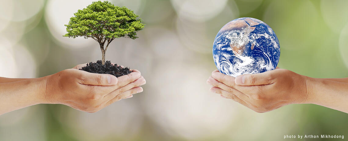 Waarom biofiel ontwerpen duurzame waarde toevoegt 