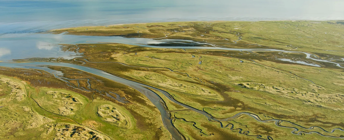 Landschappelijke inpassing