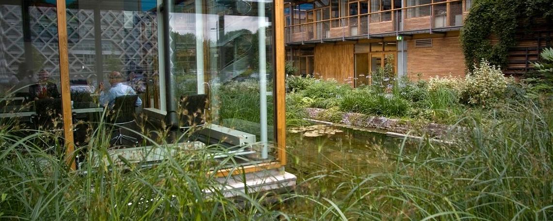 Biophilic Design: aantoonbaar beter